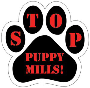 puppy mill.jpg